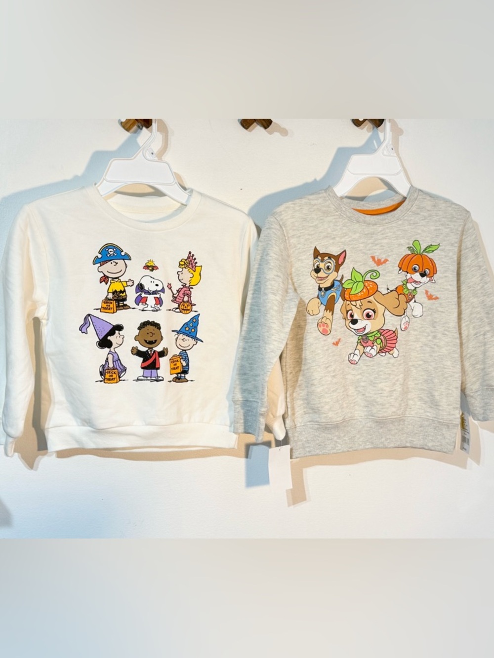 Paw Patrol and Peanuts Fleece Happy Howlaween Graphic Pullover sweatshirt top